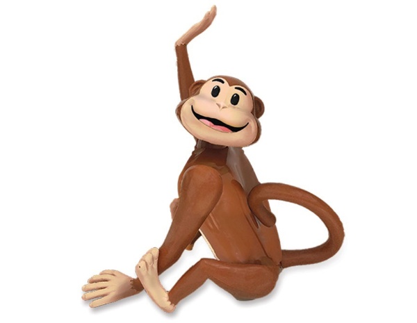Hide & Seek Safari® Monkey II - Kids Game - R&R GAMES | R&R Games