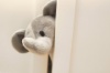 Hide & Seek Pals Elfy the Elephant