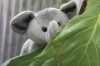 Hide & Seek Pals Elfy the Elephant