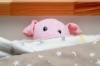 Hide & Seek Pals Peaches the Pig
