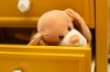 Hide & Seek Pals Pogo the Puppy 